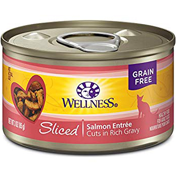 WELLNESS - HEALTHY FOOD FOR ADULT CATS - (Salmon Entree) - 3oz